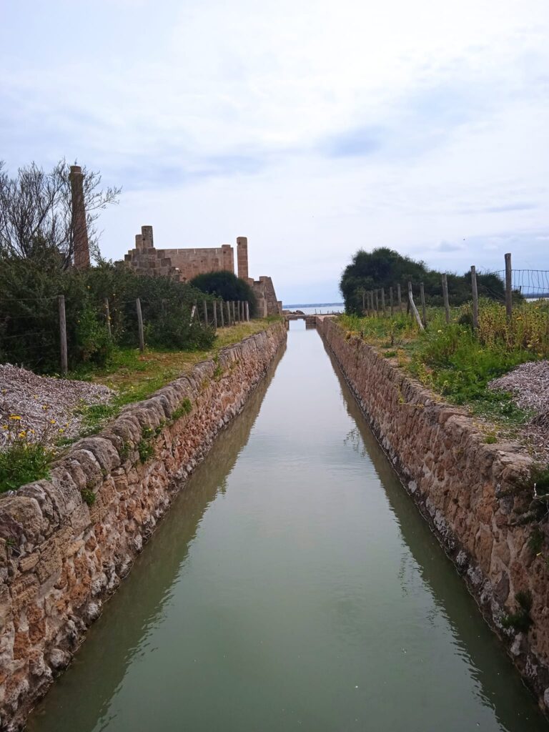 Oasi Faunistica di Vendicari